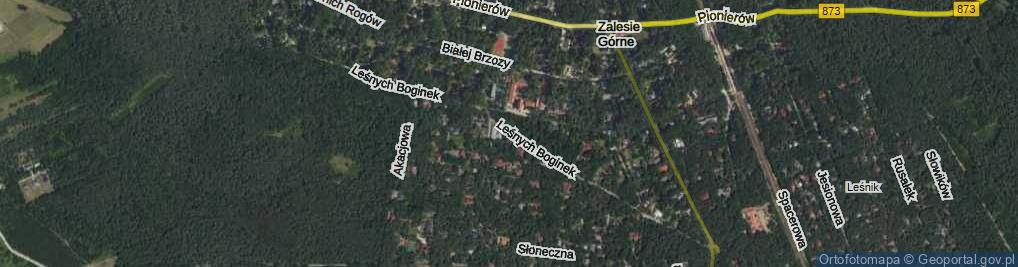 Zdjęcie satelitarne Leśnych Boginek ul.